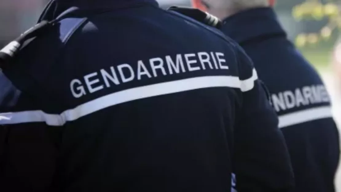 Gendarmerie : De Nouvelles Brigades En Haute-Savoie