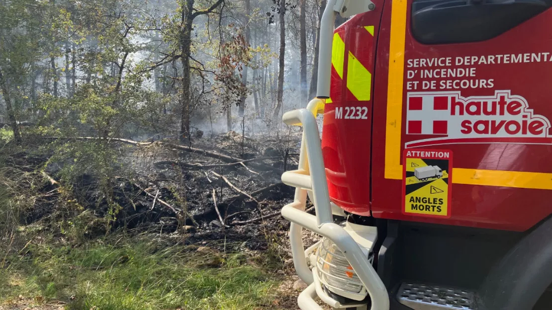 Grand Annecy: incendie de forêt dans le vallon du Fier