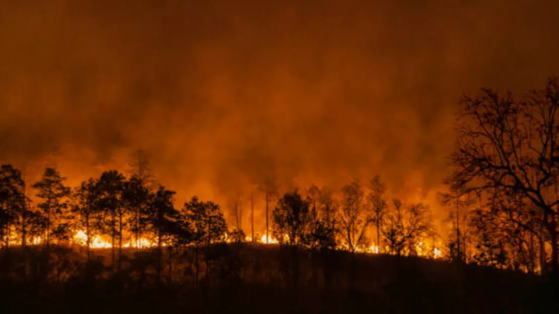 L’Ain veut lutter contre les feux de forêts