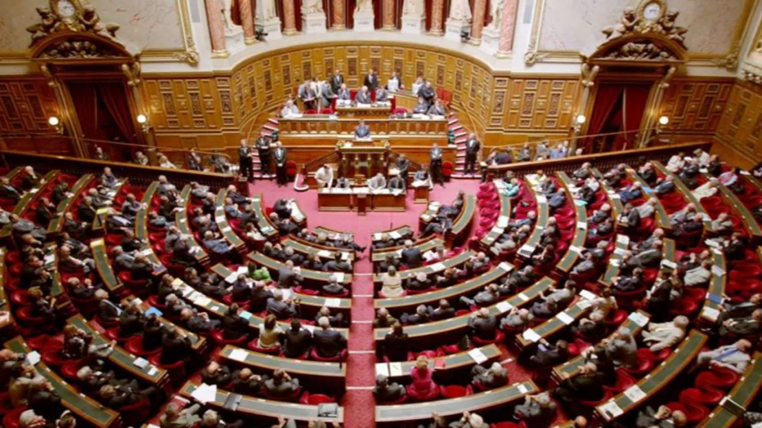 IVG : les Sénateurs des Pays de Savoie appelés à se prononcer