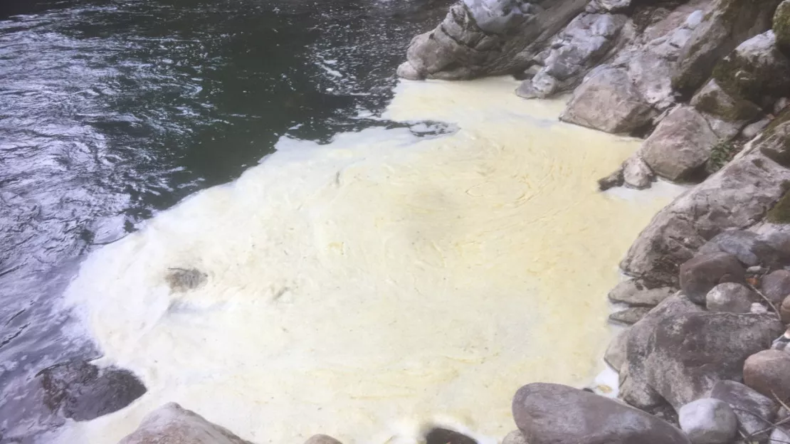 Saint-Pierre en Faucigny: pollution d'un ruisseau hier soir