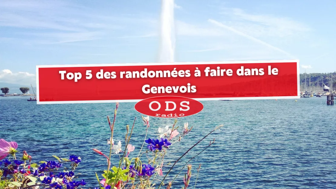 Top 5 des randonnées à faire dans le Genevois