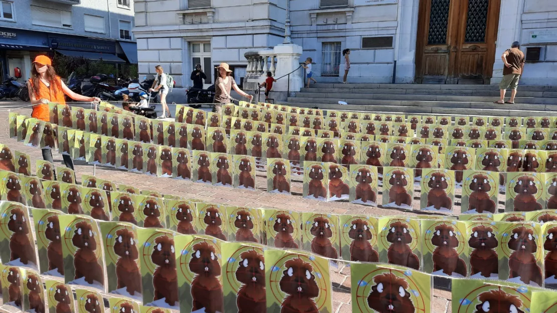 Une action ce week end devant l’hôtel de ville de Chambéry.