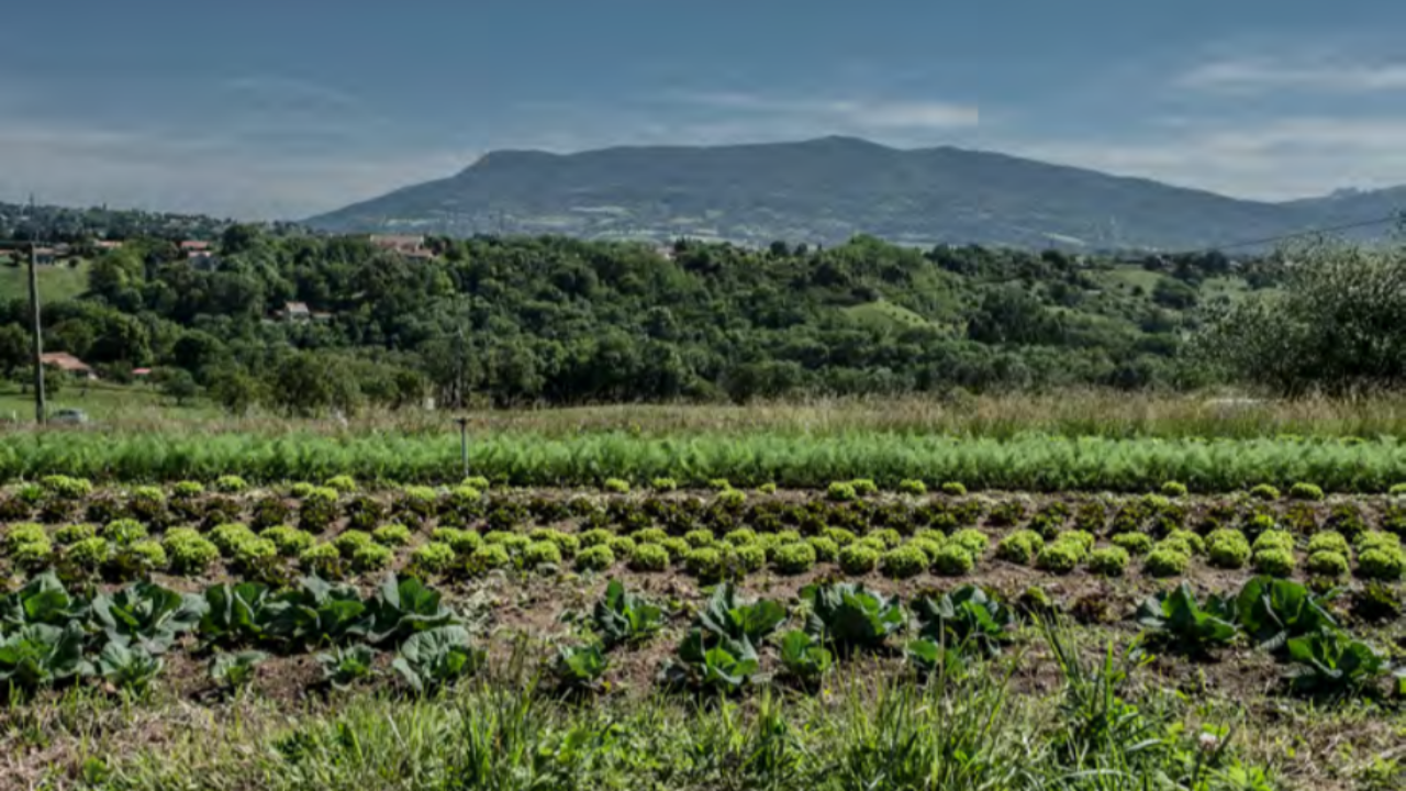 Grand Genève : un appel à candidature sur l'agriculture Grand Genève : un appel à candidature sur l'agriculture