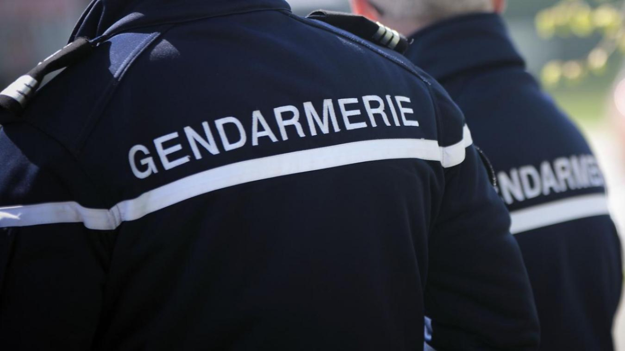 Gros déploiement de gendarmerie dans l'Ain à cause d’une rave party Gros déploiement de gendarmerie dans l'Ain à cause d’une rave party