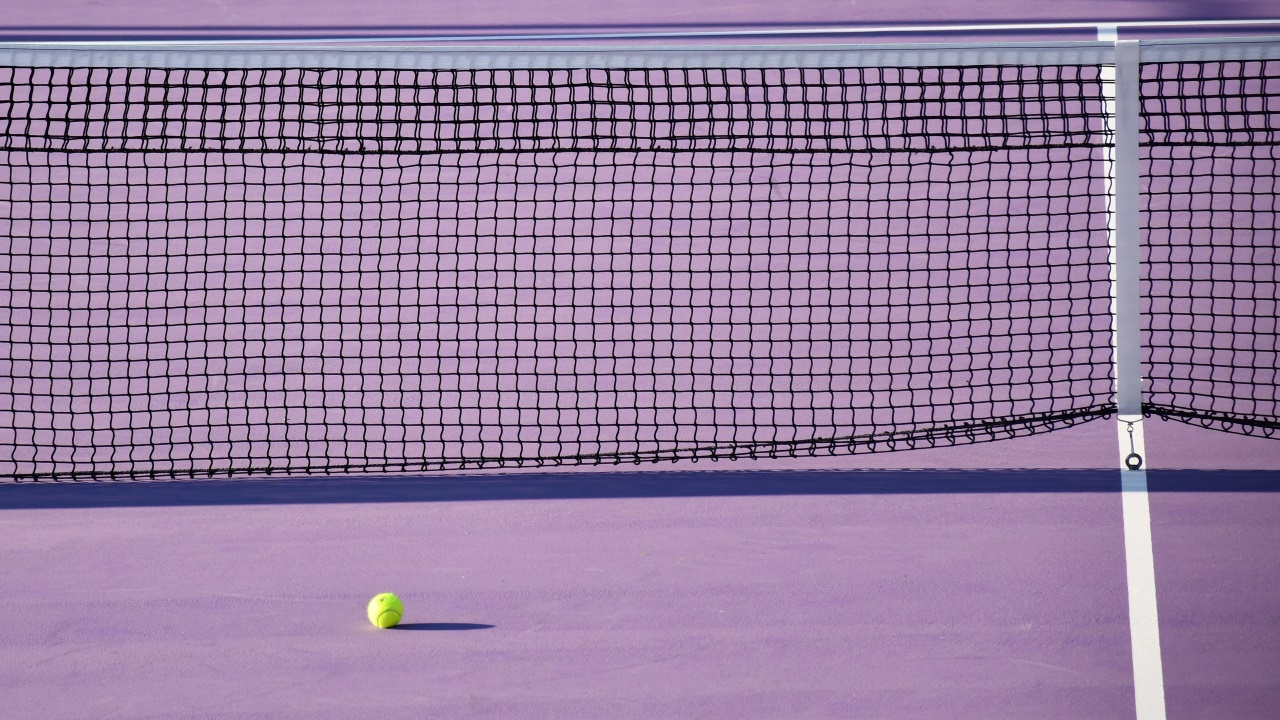 Annecy : ses voisins font trop de bruit sur le court de tennis, un septuagénaire passé à tabac pour leur avoir fait une remarque Annecy : ses voisins font trop de bruit sur le court de tennis, un septuagénaire passé à tabac pour leur avoir fait une remarque