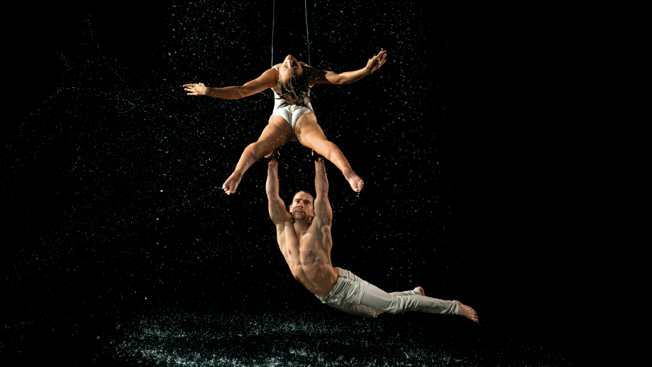 Annecy : Une trapéziste chute, son pronostic vital est engagé Annecy : Une trapéziste chute, son pronostic vital est engagé