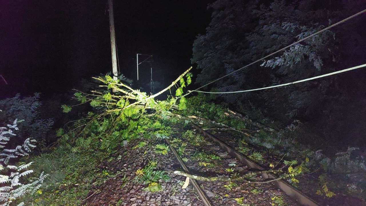 Chutes d'arbres à cause des orages : tous les trains annulés entre Annecy et Aix-les-Bains Chutes d'arbres à cause des orages : tous les trains annulés entre Annecy et Aix-les-Bains