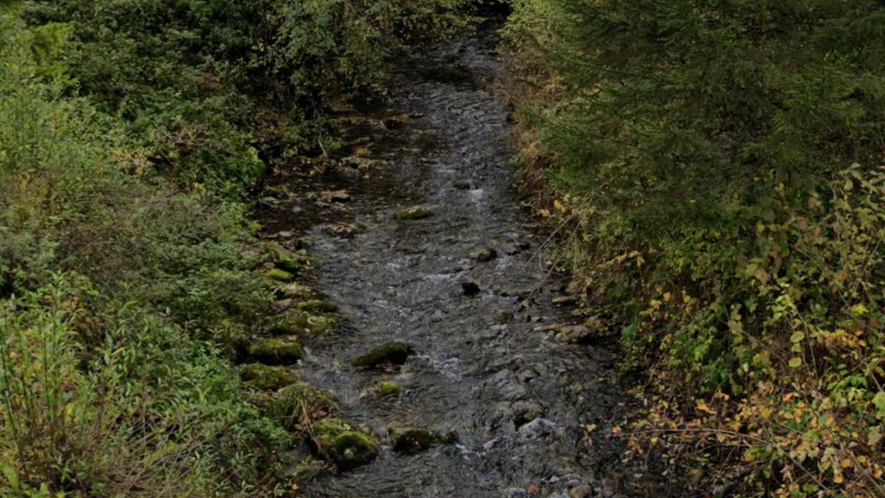 Corps d'une femme retrouvé dans un ruisseau à Faverges-Seythenex : le suspect reconnaît les faits Corps d'une femme retrouvé dans un ruisseau à Faverges-Seythenex : le suspect reconnaît les faits