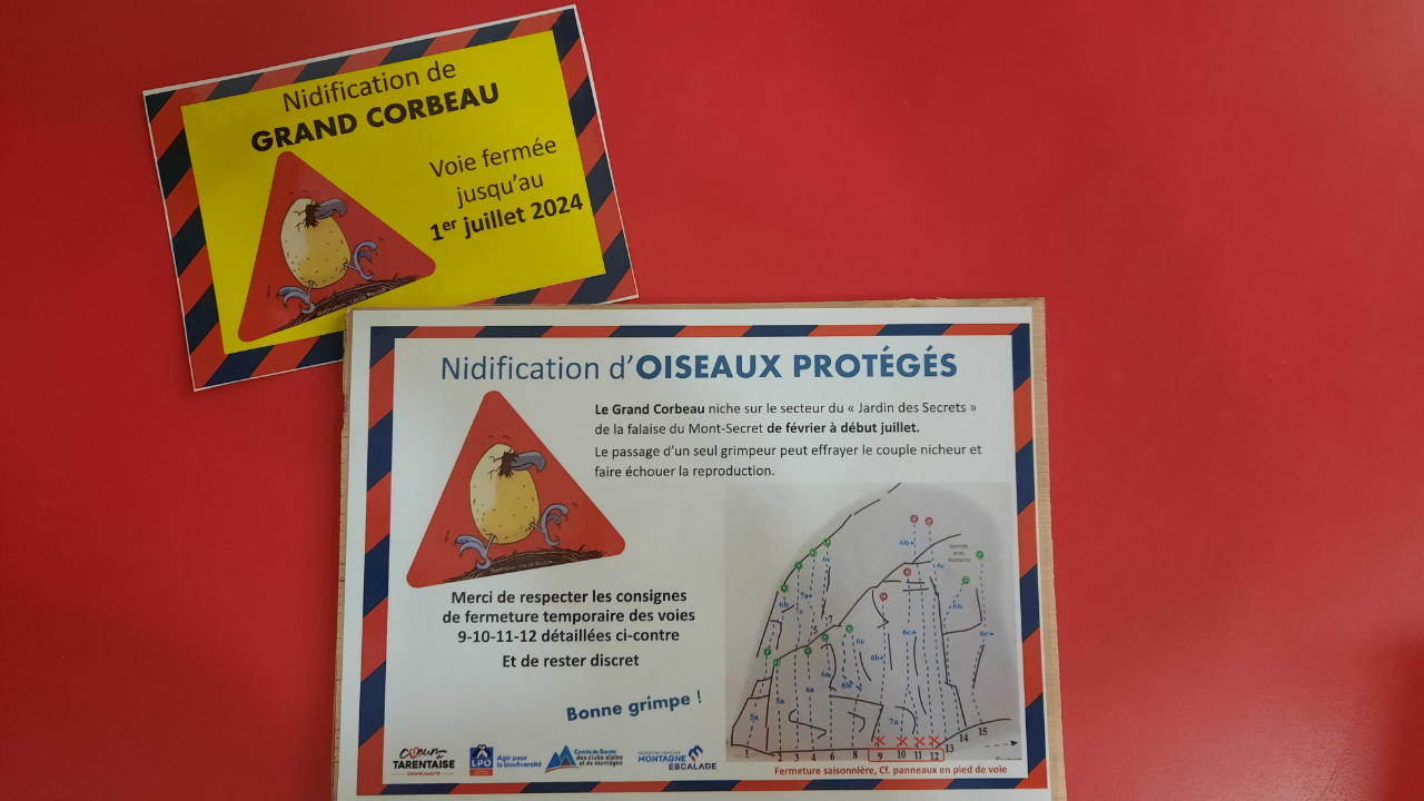 Des mesures de protections mises en place à Moûtiers en Savoie pour protéger des oiseaux