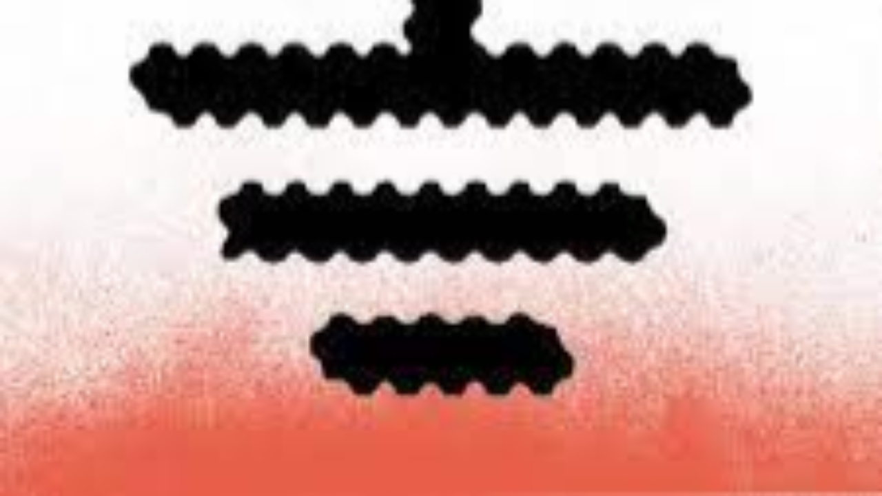 Dissolution du collectif "Les Soulèvements de la terre" Dissolution du collectif "Les Soulèvements de la terre"