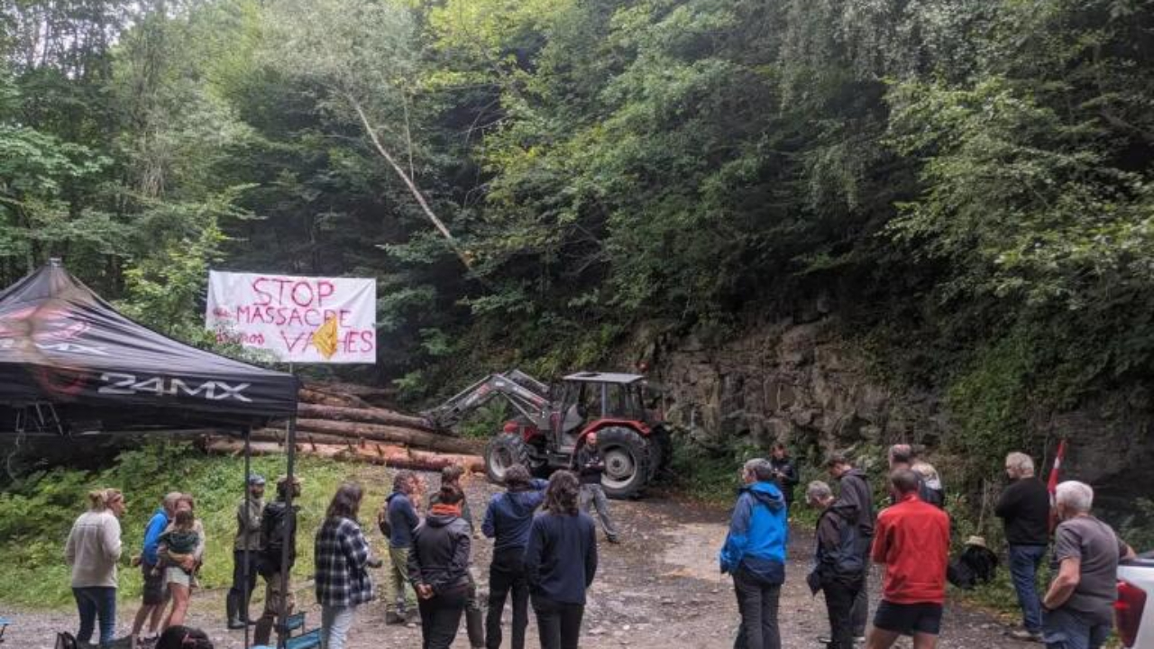 Faverges : le blocage de la Confédération paysanne levé et les bovins abattus après un cas de dermatose Faverges : le blocage de la Confédération paysanne levé et les bovins abattus après un cas de dermatose