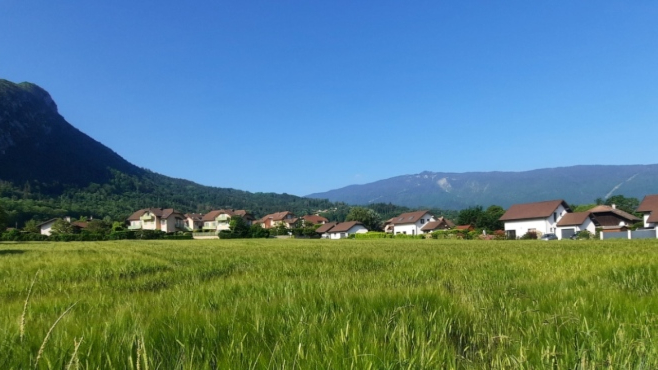 Grand-Annecy: une pétition sur les terres agricoles Grand-Annecy: une pétition sur les terres agricoles