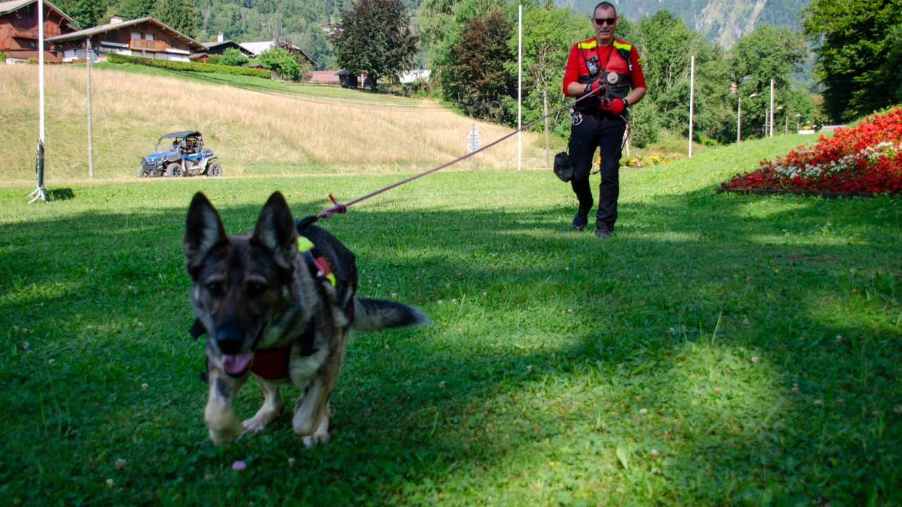 Haute-Savoie : Le SDIS annonce le décès de leur chienne de sauvetage, médaillée d'honneur en 2024 Haute-Savoie : Le SDIS annonce le décès de leur chienne de sauvetage, médaillée d'honneur en 2024