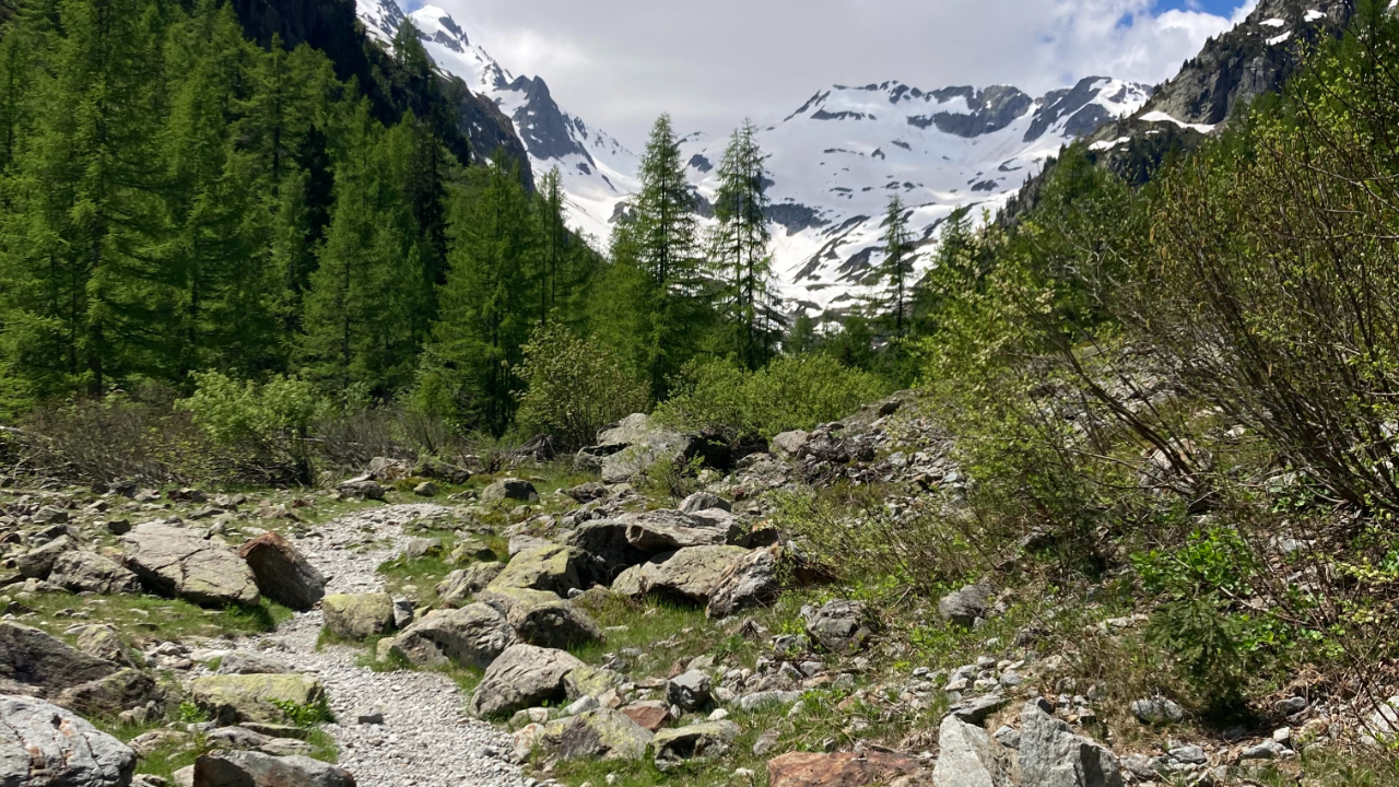 Haute-Savoie : un écroulement spectaculaire dans le massif des Aiguilles Rouges Haute-Savoie : un écroulement spectaculaire dans le massif des Aiguilles Rouges