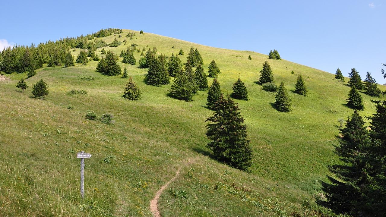 Haute-Savoie : un jeune homme chute de plus de 100 m&egrave;tres &agrave; la Pointe de Sur Cou et d&eacute;c&egrave;de