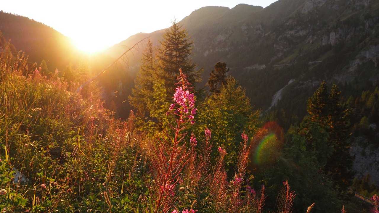 Haute-Savoie : Un tiers des contr&ocirc;les environnementaux r&eacute;v&egrave;lent des non-conformit&eacute;s