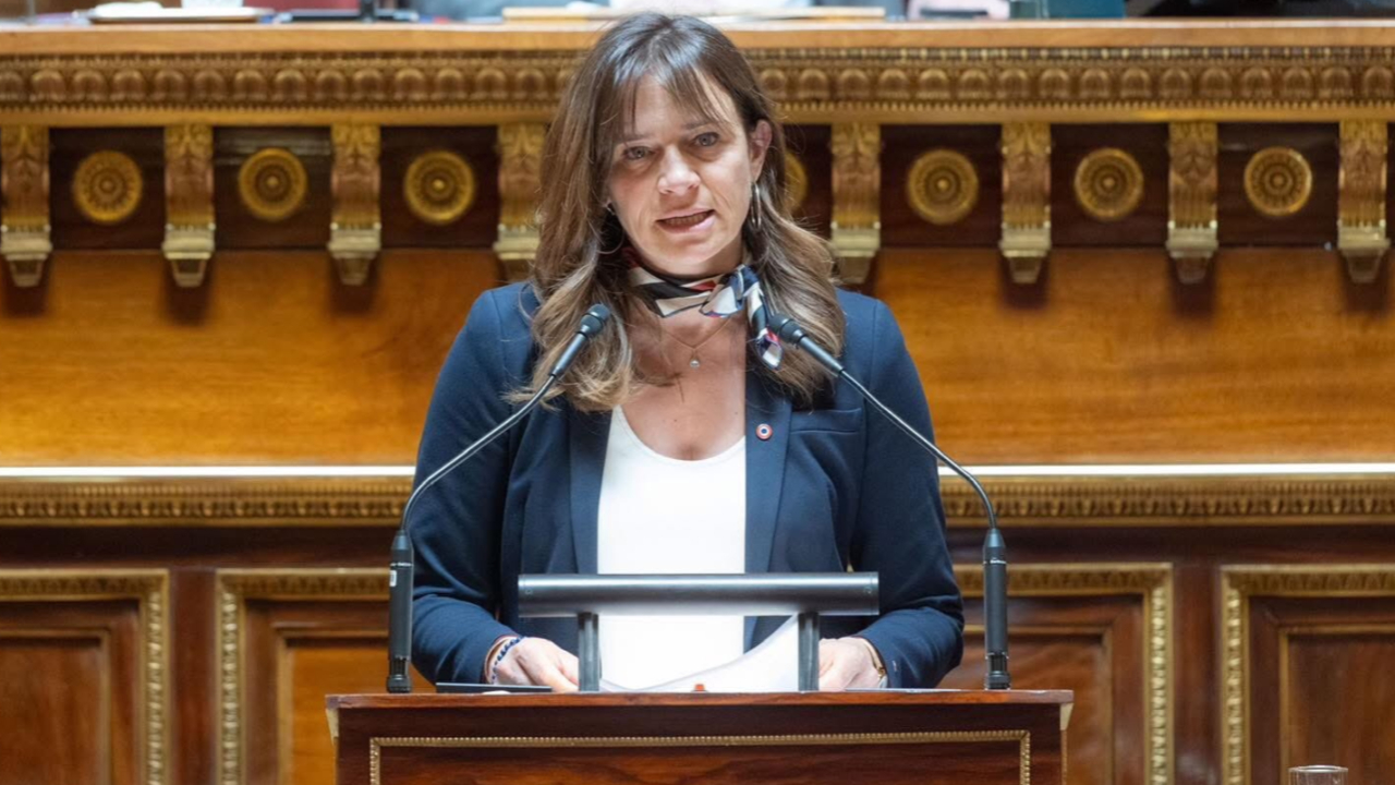 La s&eacute;natrice Sylviane No&euml;l veut rendre le drapeau fran&ccedil;ais obligatoire sur les b&acirc;timents communaux