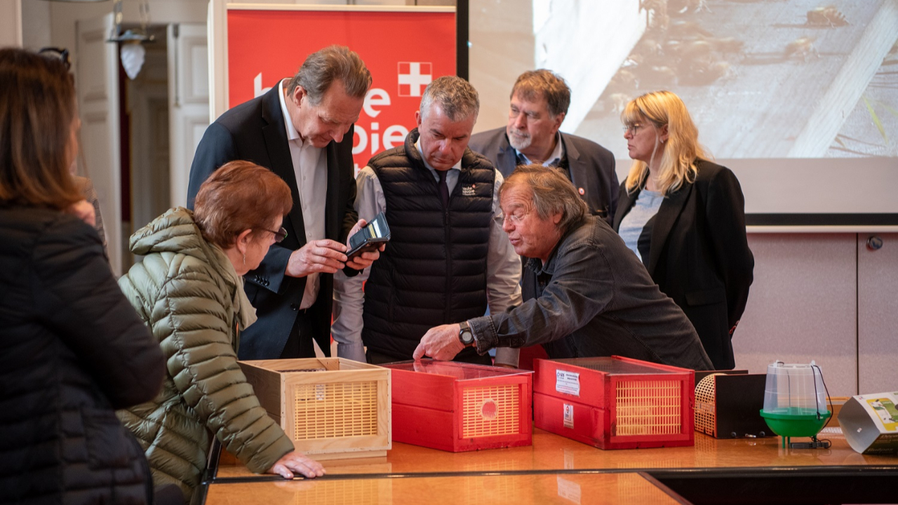 Le frelon asiatique bien présent en Haute-Savoie Le frelon asiatique bien présent en Haute-Savoie