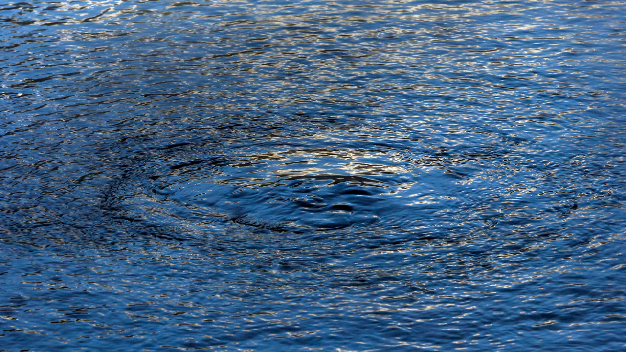 L&eacute;gionellose &agrave; Albertville : Le cluster pas encore identifi&eacute;, les recherches continuent