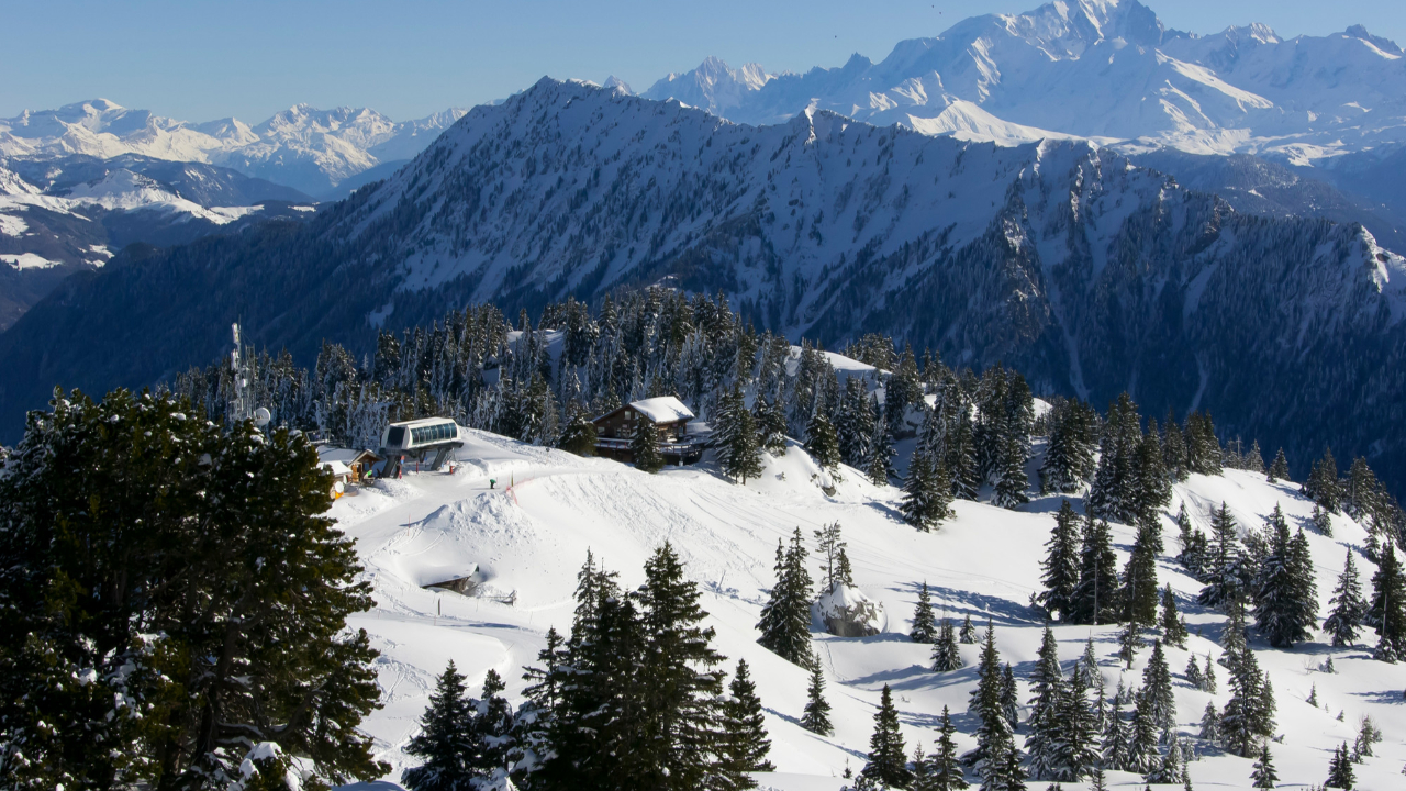 Les écologistes en colère face à la situation de la Sambuy Les écologistes en colère face à la situation de la Sambuy