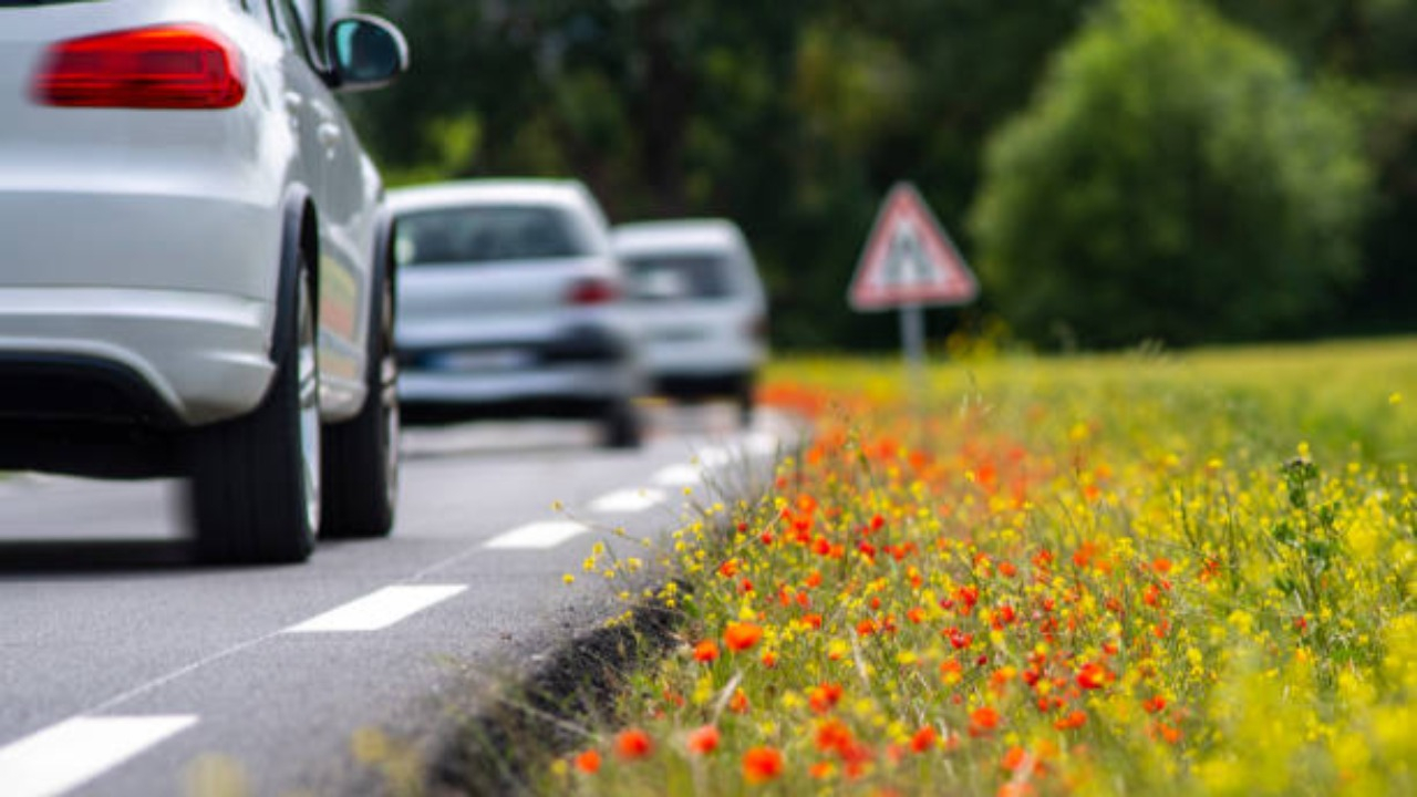 Pays de Savoie: pas de zone à faible émission dans l'immédiat Pays de Savoie: pas de zone à faible émission dans l'immédiat