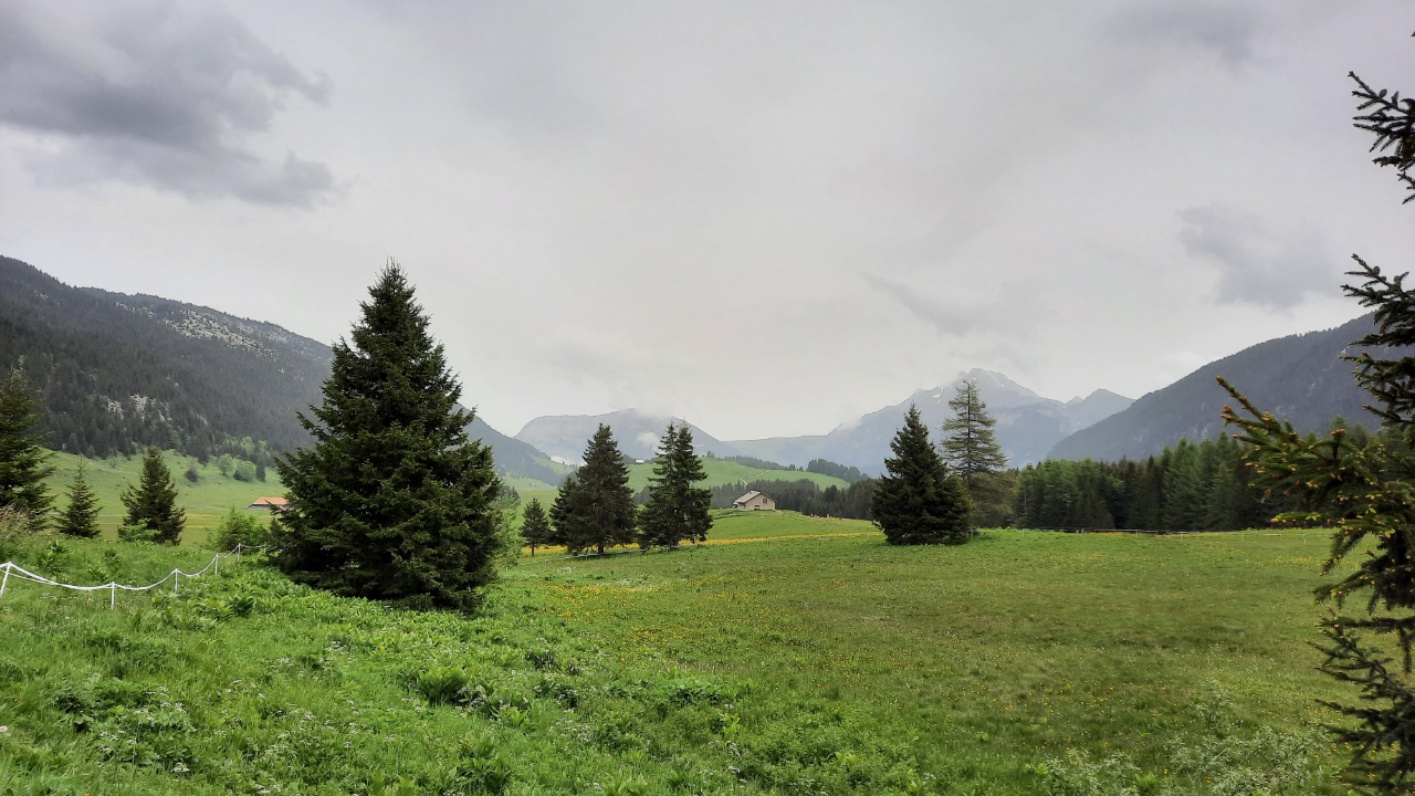 Plateau des Glières : la route réservée aux vélos mardi 26 août 2025 Plateau des Glières : la route réservée aux vélos mardi 26 août 2025
