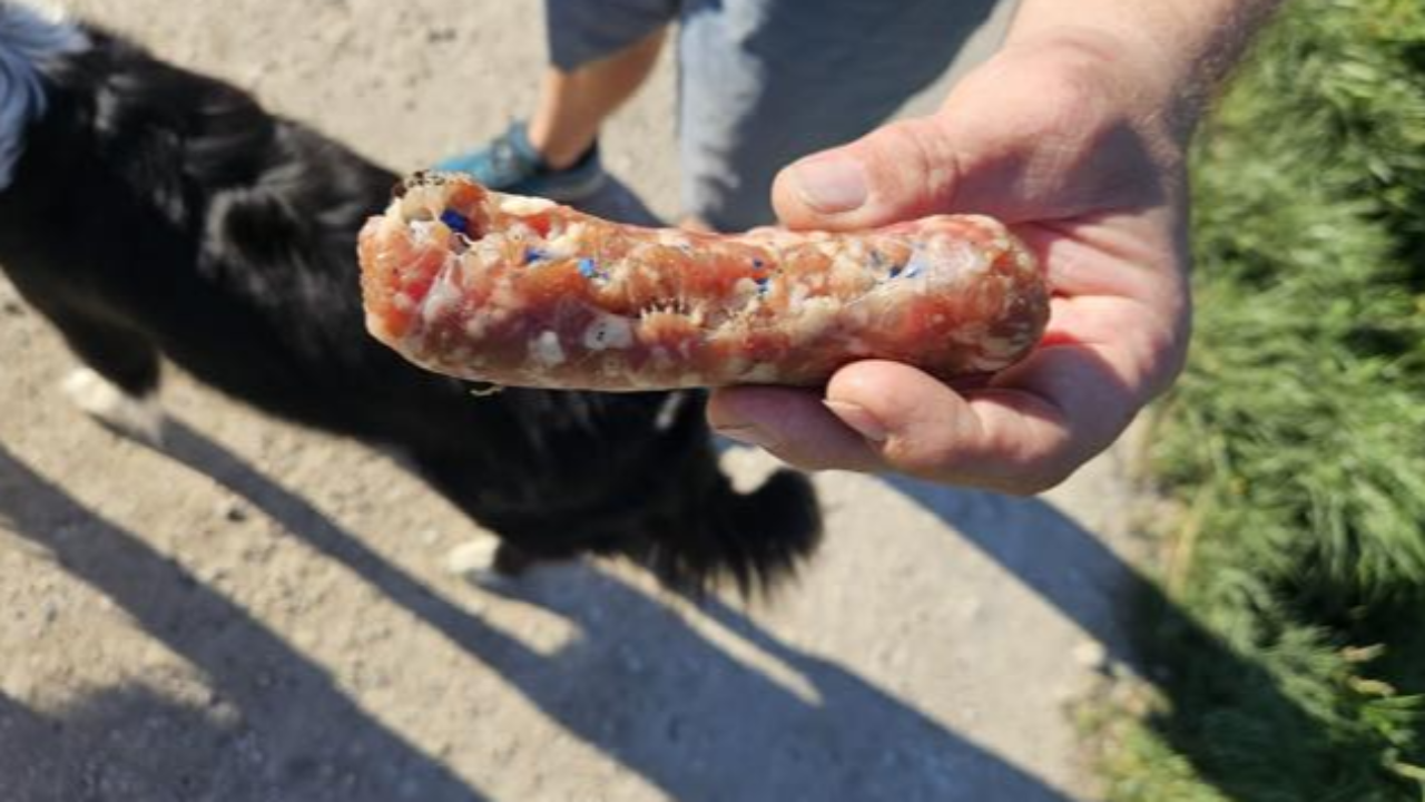 Près de Chambéry : Des saucisses retrouvées avec de la mort aux rats Près de Chambéry : Des saucisses retrouvées avec de la mort aux rats