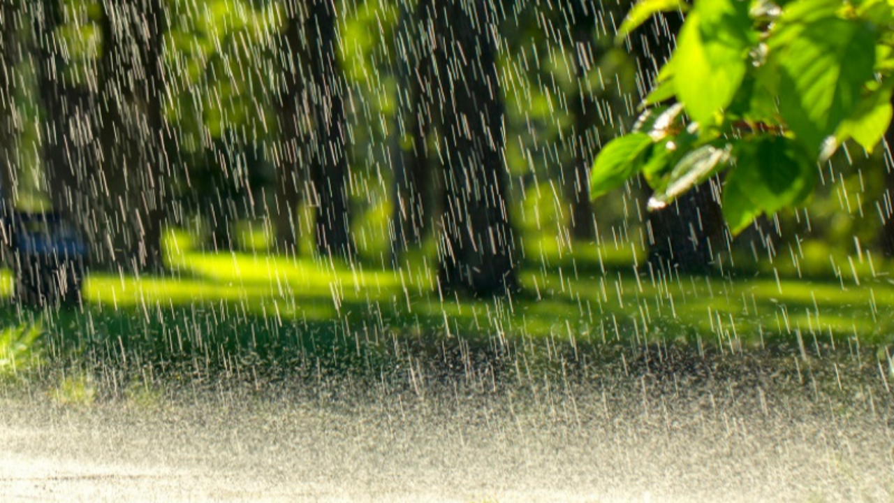 Que faire quand il pleut ? 5 activités insolites en Pays-de-Savoie Que faire quand il pleut ? 5 activités insolites en Pays-de-Savoie