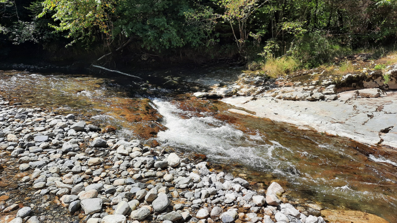 Rumilly : Baignade interdite dans le Ch&eacute;ran jusqu'&agrave; fin juillet