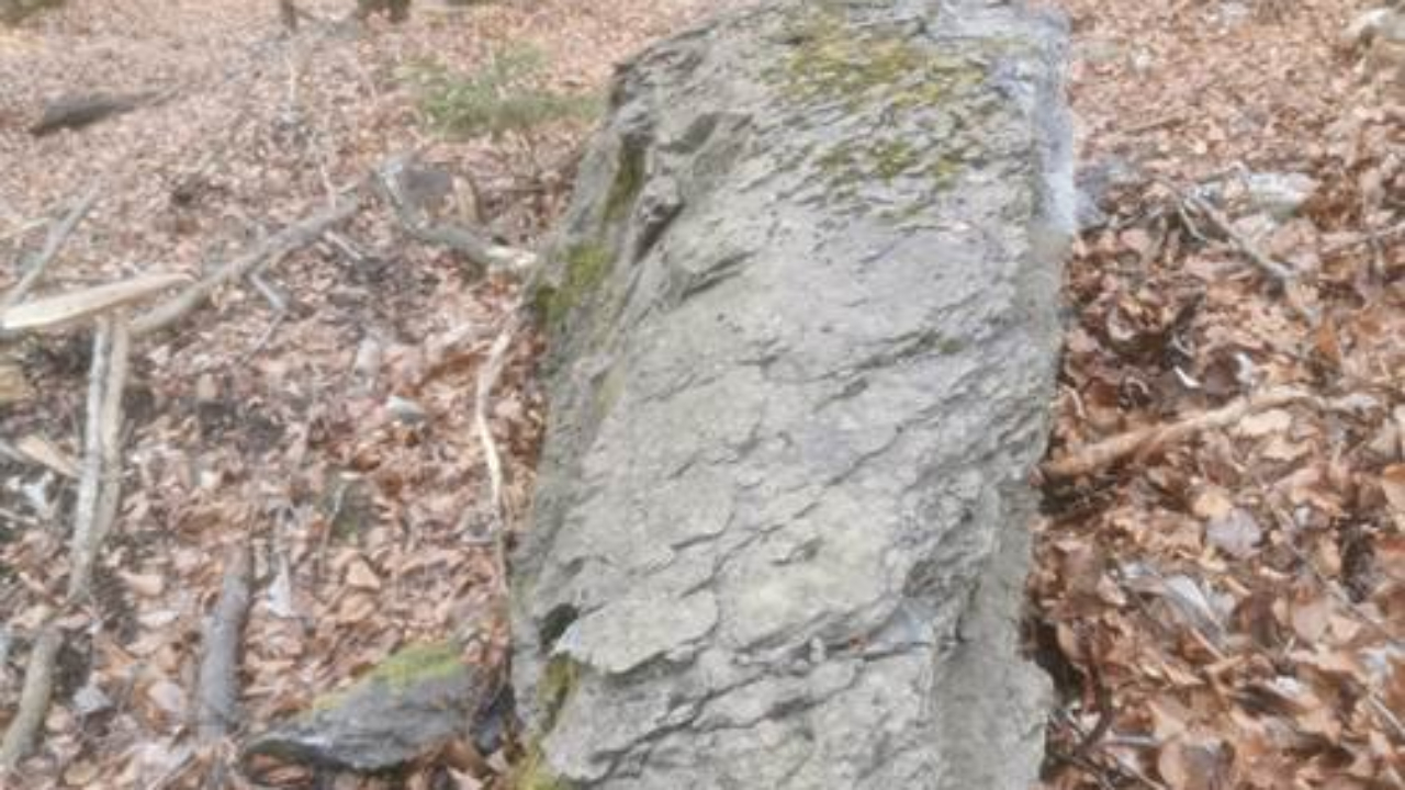 Sallanches : une op&eacute;ration de purge pour s&eacute;curiser une route