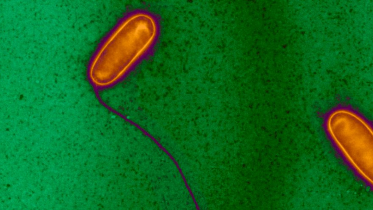 Savoie : le seuil de légionelles dépassé chez Framatome à Ugine Savoie : le seuil de légionelles dépassé chez Framatome à Ugine