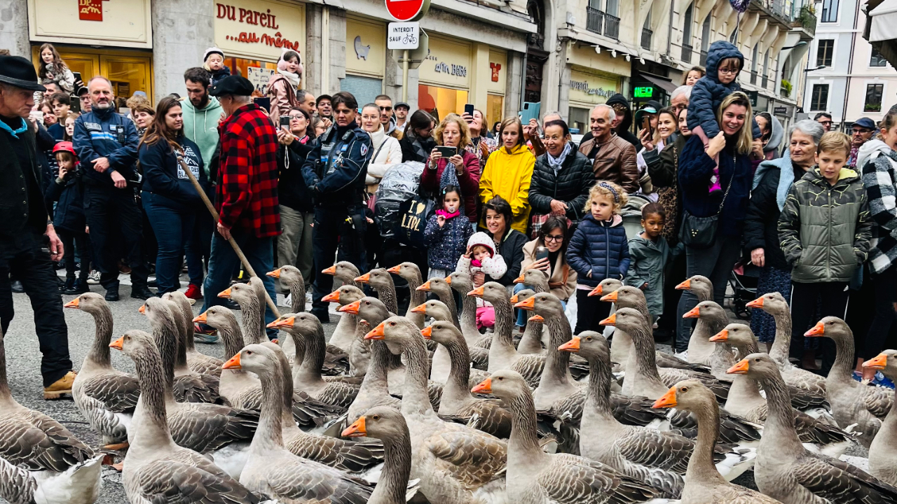 Succ&egrave;s pour les 51 ans du Retour des alpages &agrave; Annecy !